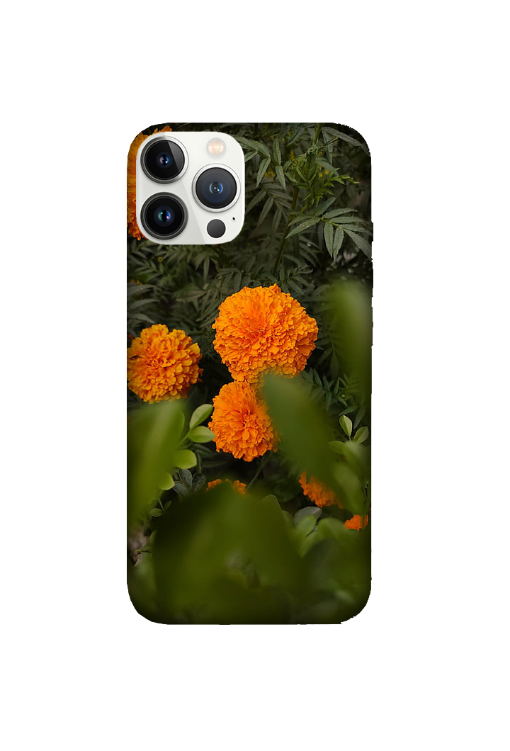 Flowers 050