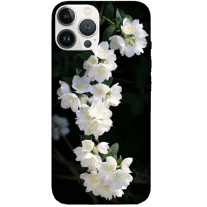 Flowers 052