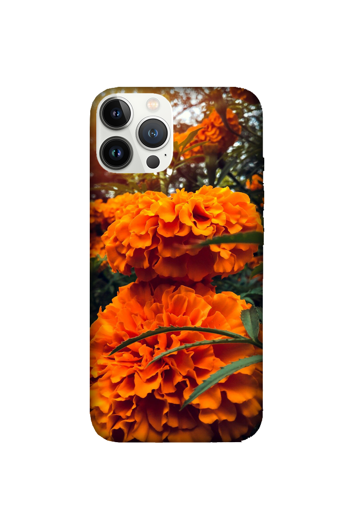 Flowers 053