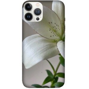 Flowers 054