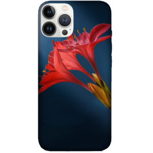 Flowers 058
