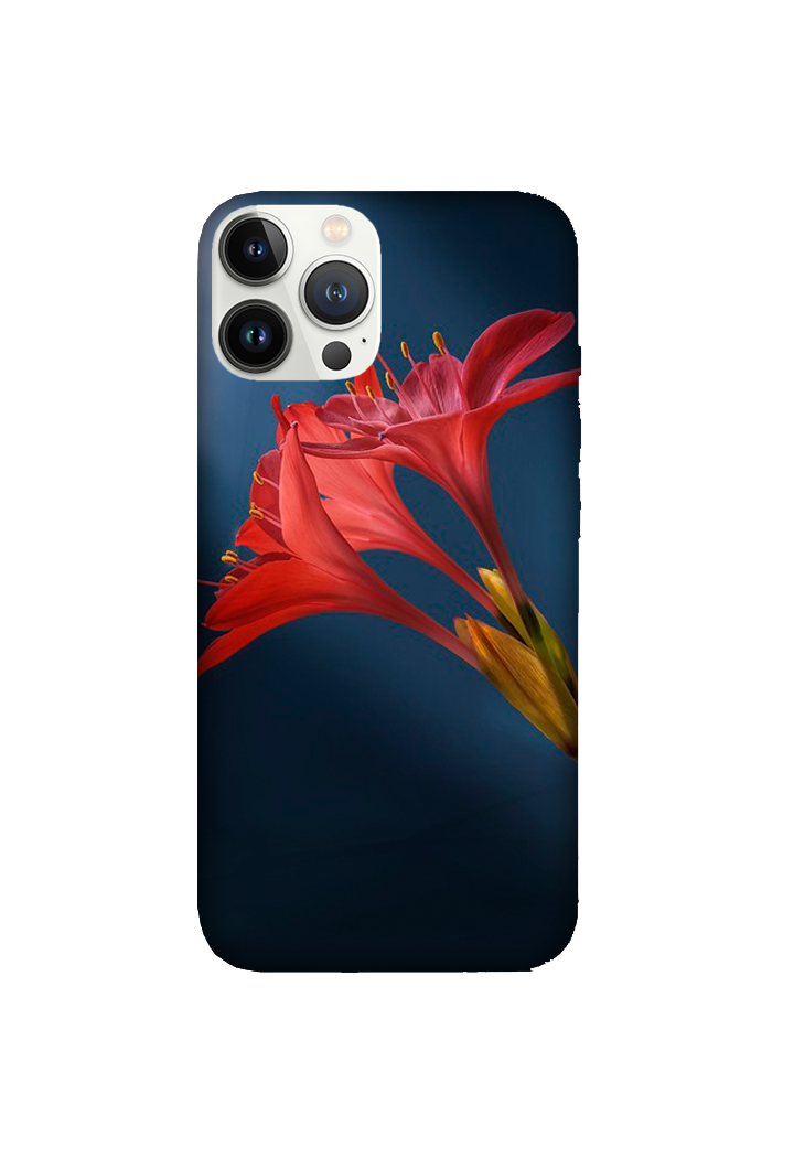 Flowers 058