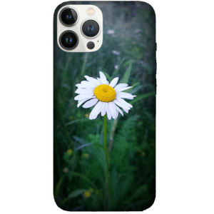 Flowers 061