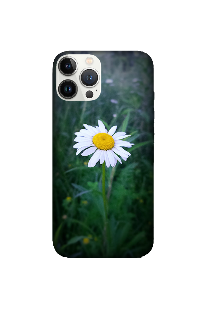 Flowers 061