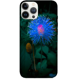 Flowers 062