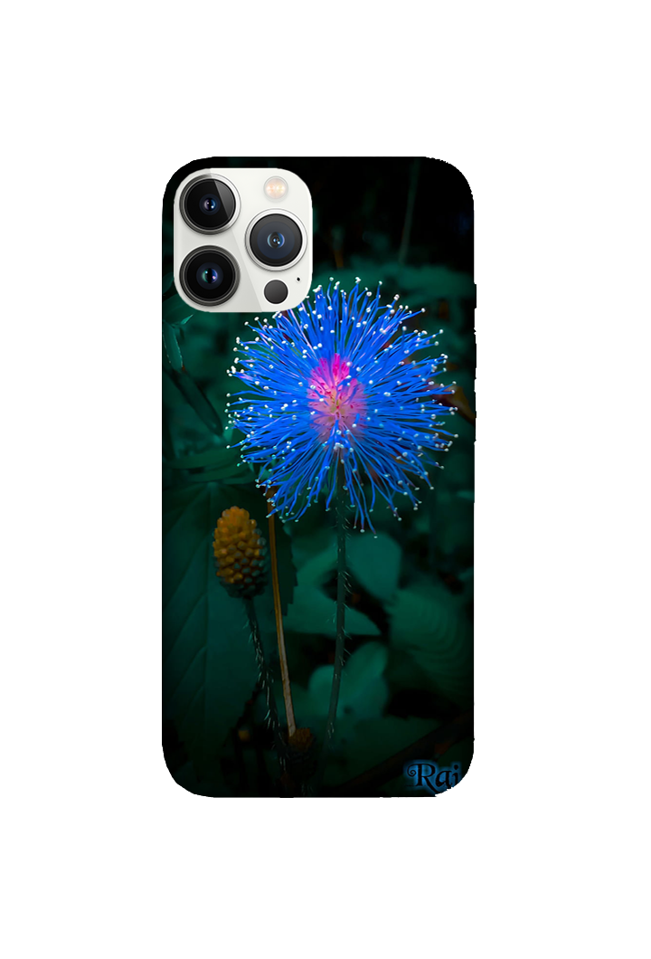 Flowers 062
