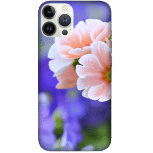Flowers 063