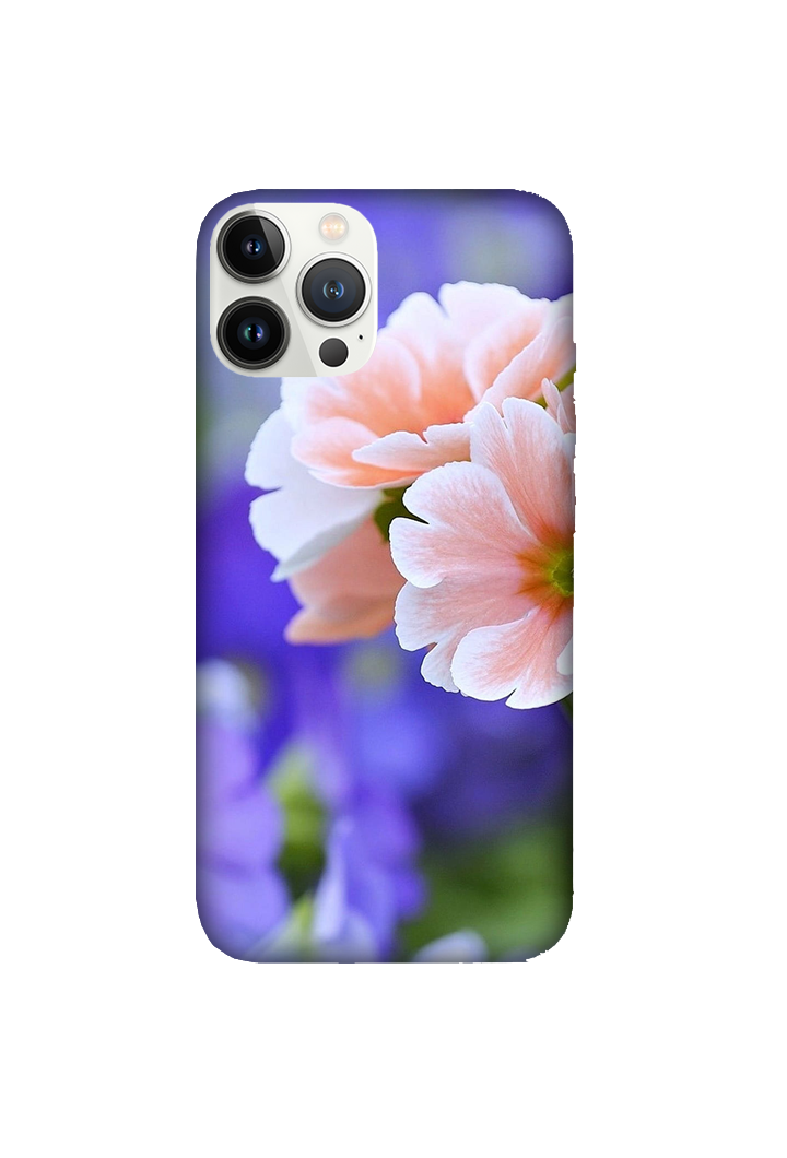 Flowers 063