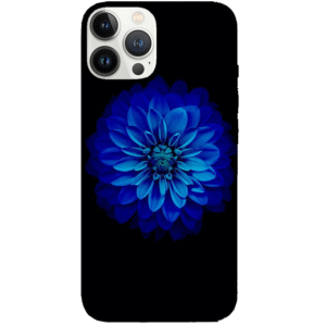 Flowers 065