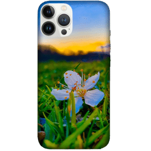 Flowers 066