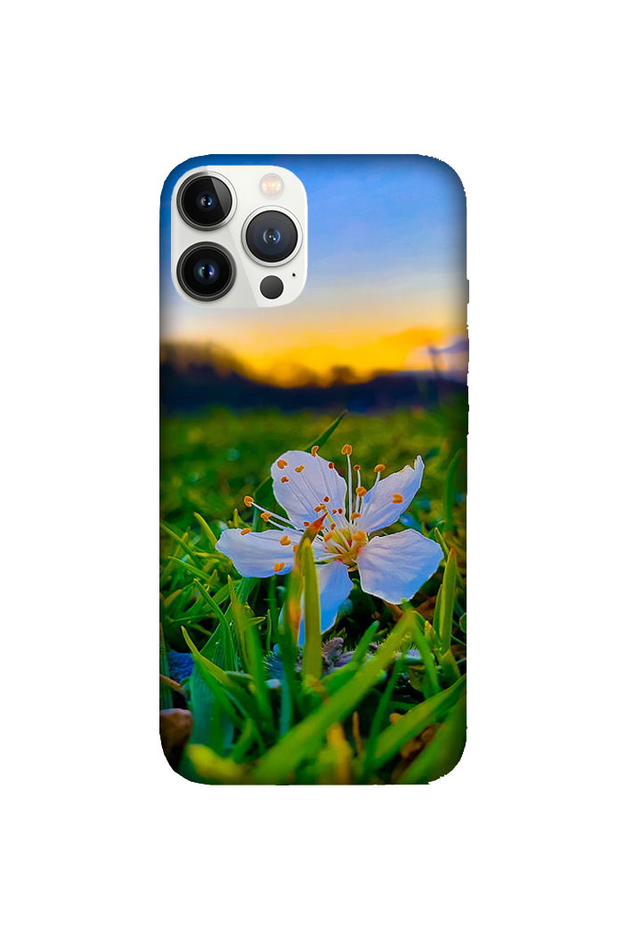 Flowers 066