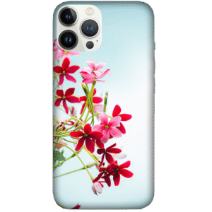 Flowers 067