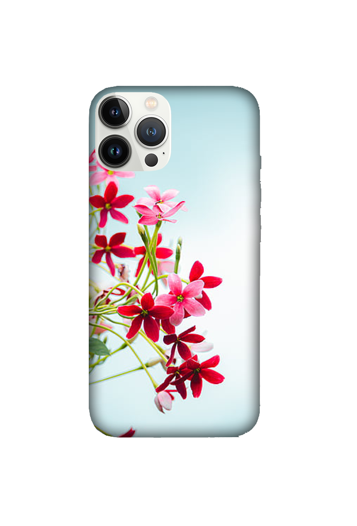 Flowers 067