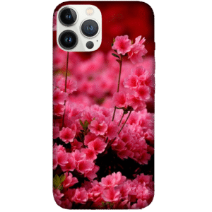 Flowers 068