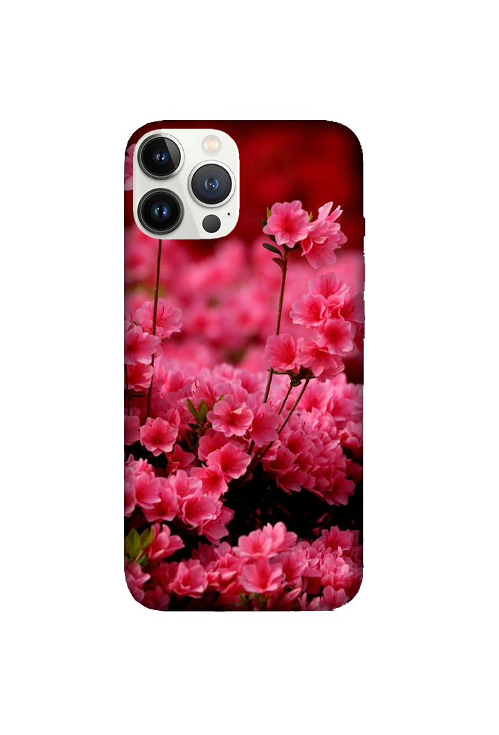 Flowers 068