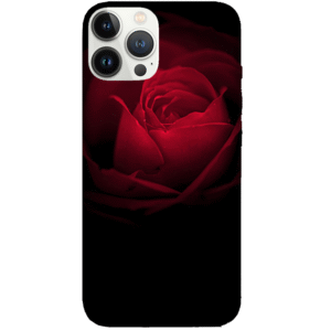 Flowers 069