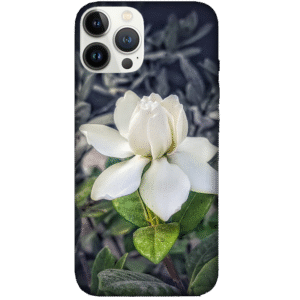 Flowers 070