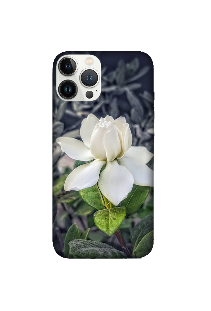 Flowers 070
