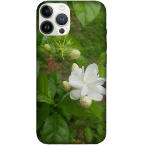Flowers 071