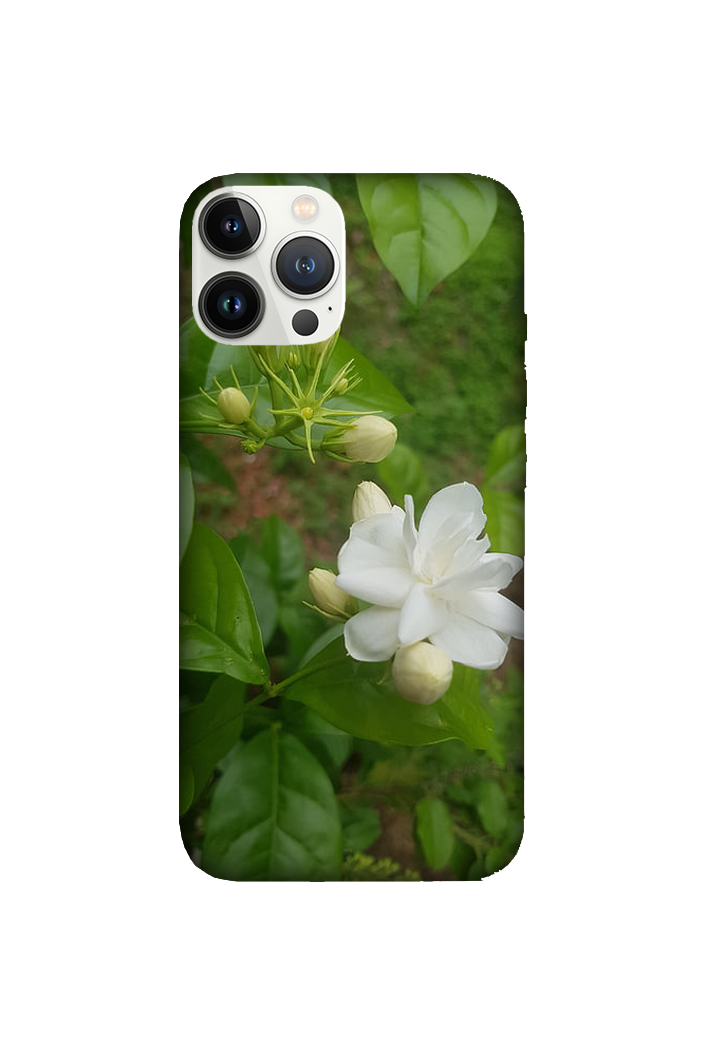 Flowers 071