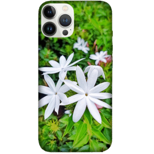 Flowers 072