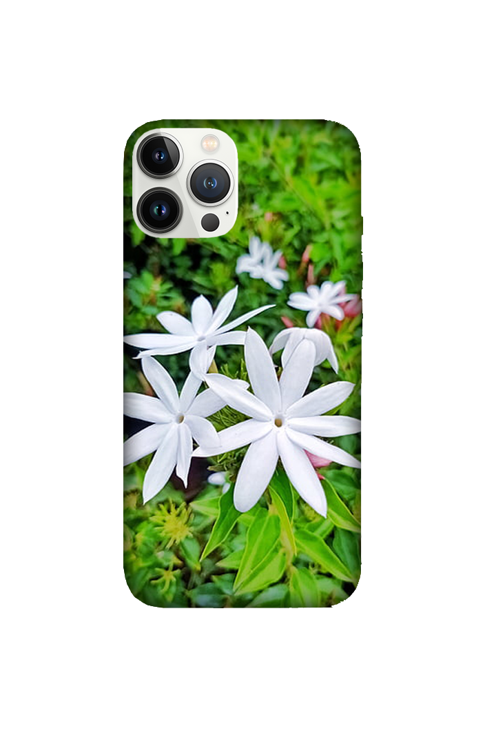 Flowers 072