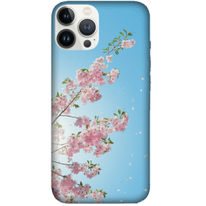 Flowers 074