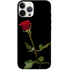 Flowers 076
