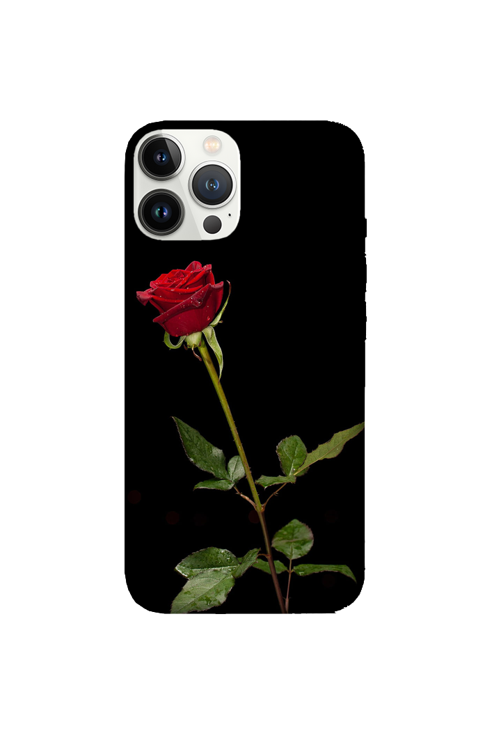 Flowers 076