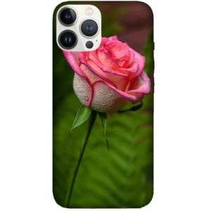 Flowers 077