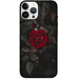 Flowers 078