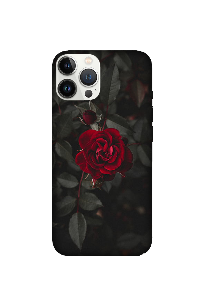 Flowers 078