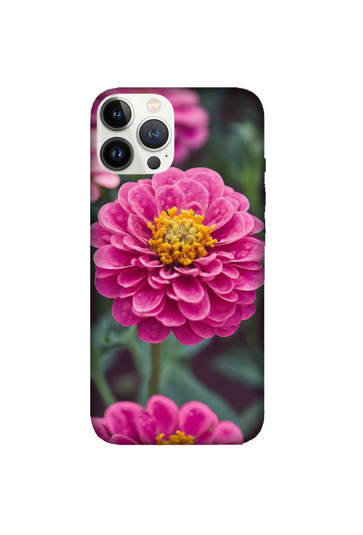 Flowers 079