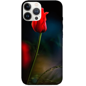 Flowers 081