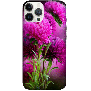 Flowers 082