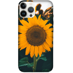 Flowers 084