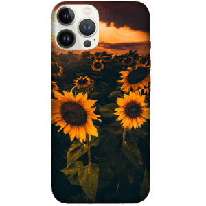 Flowers 085