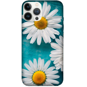Flowers 087