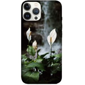 Flowers 088