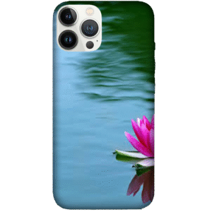 Flowers 092