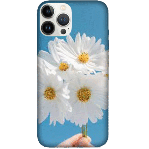Flowers 093
