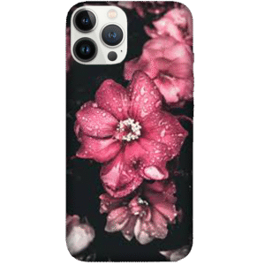 Flowers 094