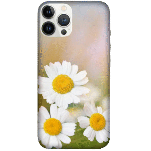 Flowers 095