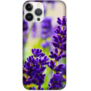 Flowers 096