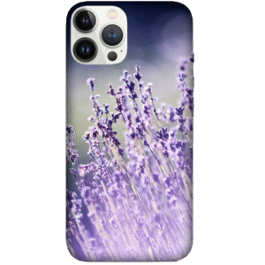 Flowers 097