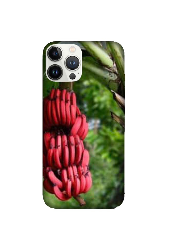 Fruits 013