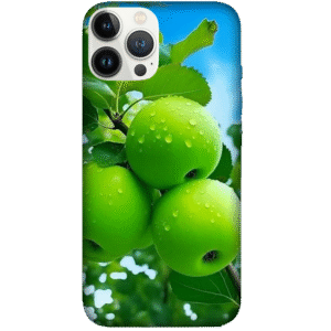 Fruits 041