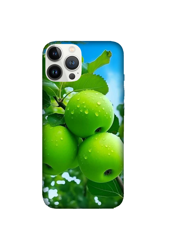 Fruits 041