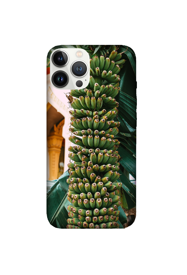 Fruits 043