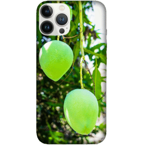 Fruits 059